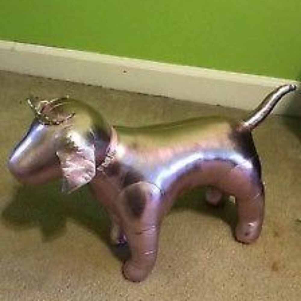 Iso vs pink princess dog